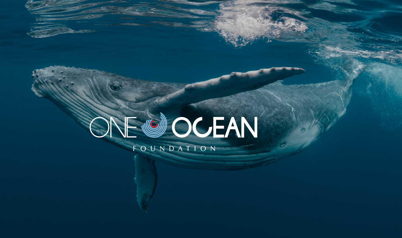 One Ocean Foundation e Pianeta Mare Film Festival: insieme per sensibilizzare la nuova “GENERAZIONE Oceano”